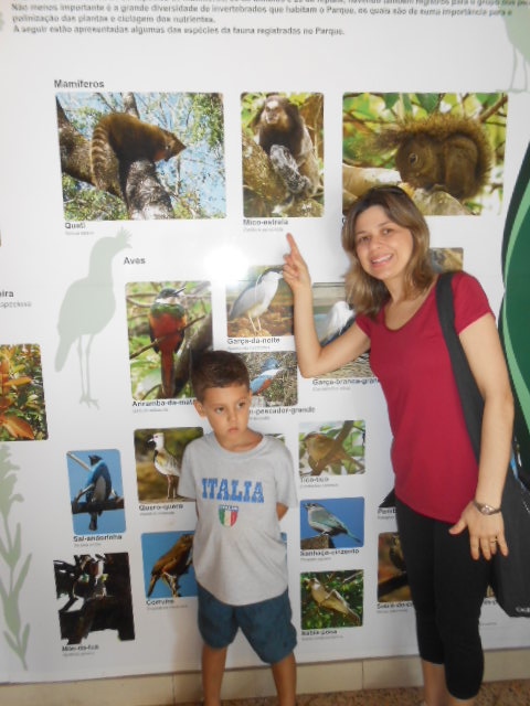 DSCN8006.jpg.bem_familia_club_cult_kids_sustentabilidade_bh.bem_familia_club_cult_kids_sustentabilidade_bh
