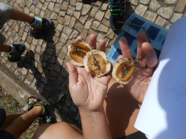 DSCN8021.JPG.bem_familia_club_cult_kids_sustentabilidade_bh.bem_familia_club_cult_kids_sustentabilidade_bh