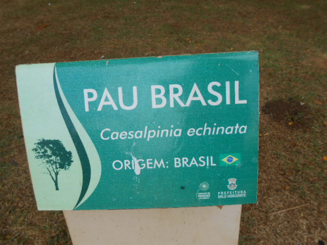 DSCN8101.JPG.bem_familia_club_cult_kids_sustentabilidade_bh.bem_familia_club_cult_kids_sustentabilidade_bh